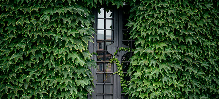 Garden Gate Repair in North Vancouver, BC