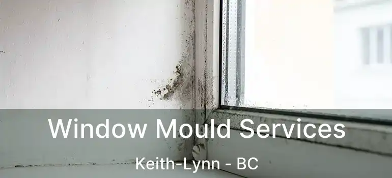  Window Mould Services Keith-Lynn - BC